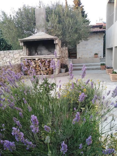 Apartmani Morovi Dvori Drage Luaran gambar